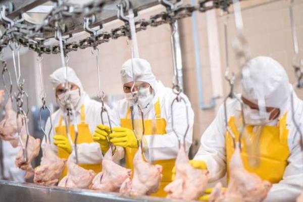 Varadkar says he queried oversight of employment rights in meat processing sector