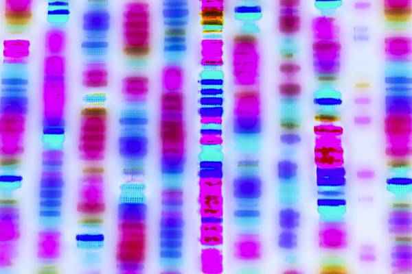 Irish genetic data collected by private firm to be shared with health service