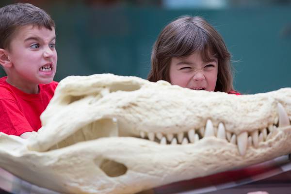 Dublin Zoo: 12 metre T-rex among ‘Zoorasic World’ stars