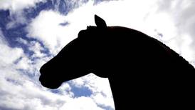 Irish rider suspended as death of his horse is investigated