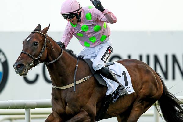 Willie Mullins flies Irish flag in South Korea with Riven Light