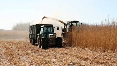 Friday the worst day for farm deaths