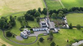 Three parties chase tech tycoon’s palatial Meath home