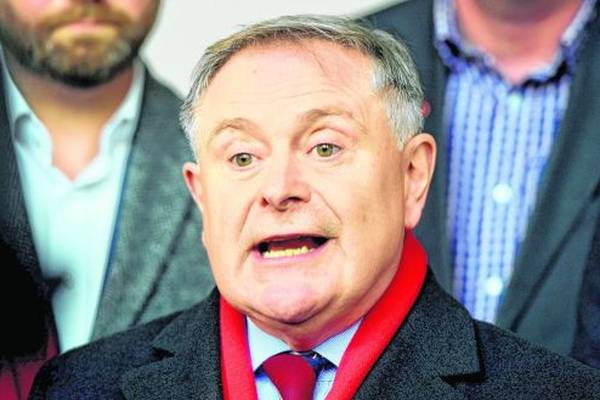 Fourth Labour councillor calls for leader Brendan Howlin to stand down