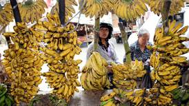 Bananas might hold the key to post-Covid trade