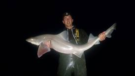 Angling Notes: Large catch committee reports   record  smooth hound