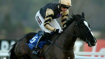 Up For Review romps home at Punchestown