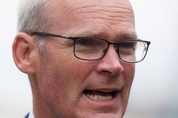 Coveney to face accusations of misleading committee over UN special envoy post