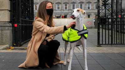 Minister will write to greyhound board over ‘sexist’ tweet about Holly Cairns
