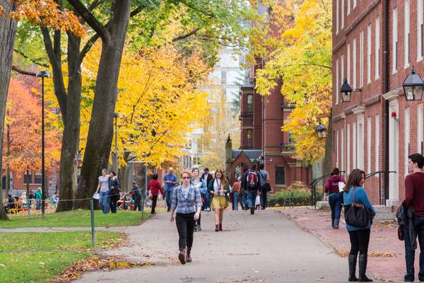 Harvard revokes acceptances over sexually explicit images