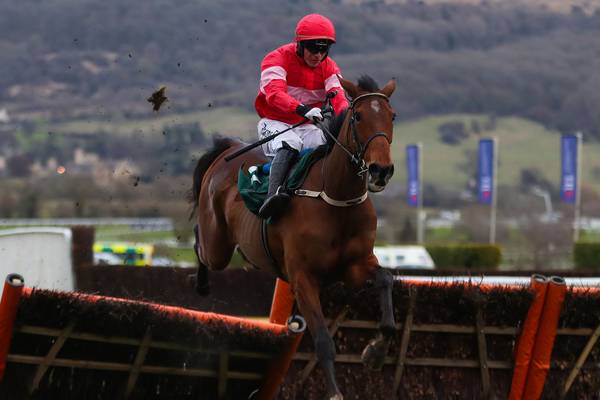 Laurina eases towards Cheltenham with win at Punchestown