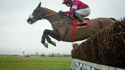 Vautour and Don Cossack backed to make King George Irish affair