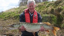 Study shows pike colonised Irish rivers naturally up to 8,000 years ago