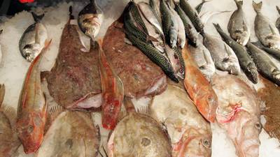 Seafood brands join forces to supply Chinese market