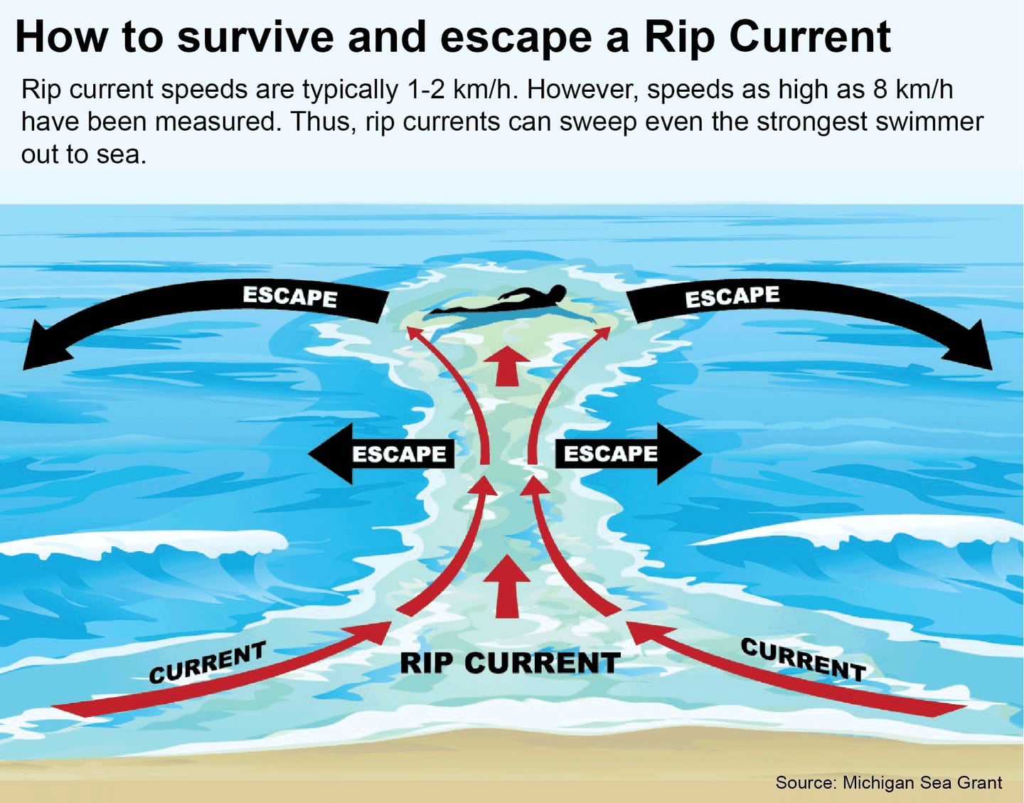 Rip current graphic by Paul Scott