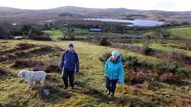 Connemara road plan could threaten endangered freshwater pearl mussels