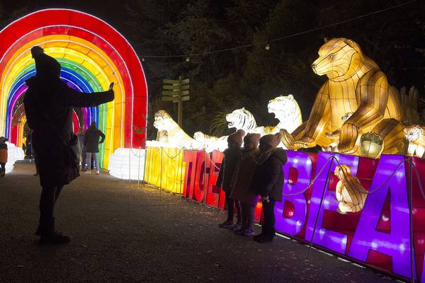 Dublin Zoo cancels its Wild Lights exhibition because of Covid-19 pandemic