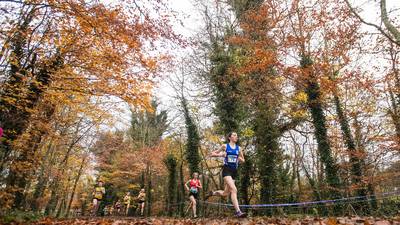 Abbotstown to host delayed European Cross-Country championships