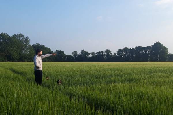 Canvas: From field to foam is the philosophy of this Tipperary brewery