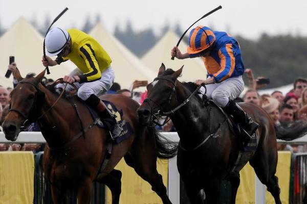 Order Of St George denied another Ascot Gold Cup