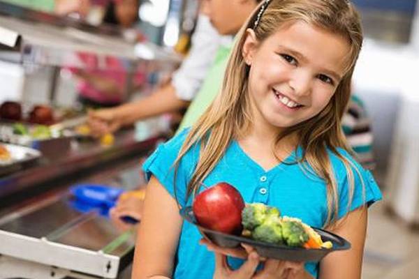 Ban on high sugar, fat and salt foods ahead for school meals plan