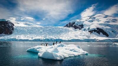 ‘Everyone should be concerned’ as Antarctic sea ice reaches record low