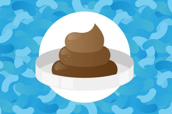 Waste treatment: the power of poo