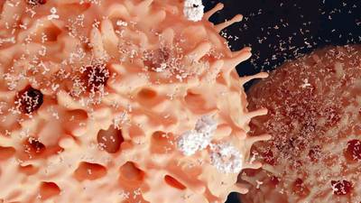 ‘Very promising’ findings in new treatment for blood cancer