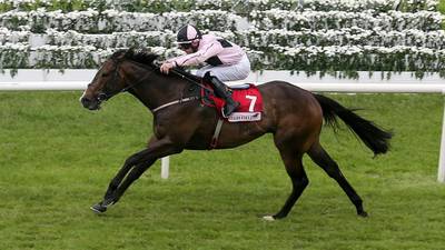 Leigh Roche aiming to guide  Ansgar to victory at Haydock