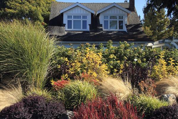 Gardening: A dozen ornamental grasses to add structure, texture and interest