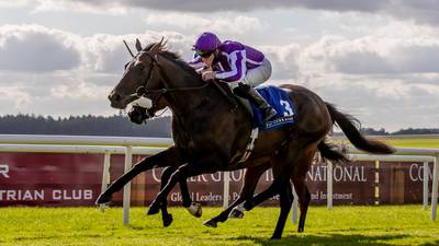 Irish trainers looking to continue their domination of Epsom Derby
