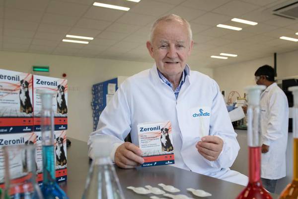 Taking on the US pet health market from Galway at age 72