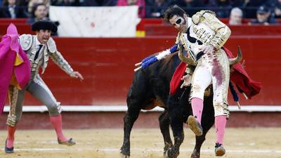 Bullfighting debate enters arena of Spanish politics