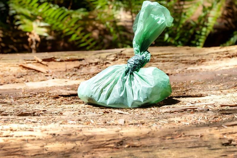 Bagged and abandoned dog poo should be the cornerstone of all local election policy platforms