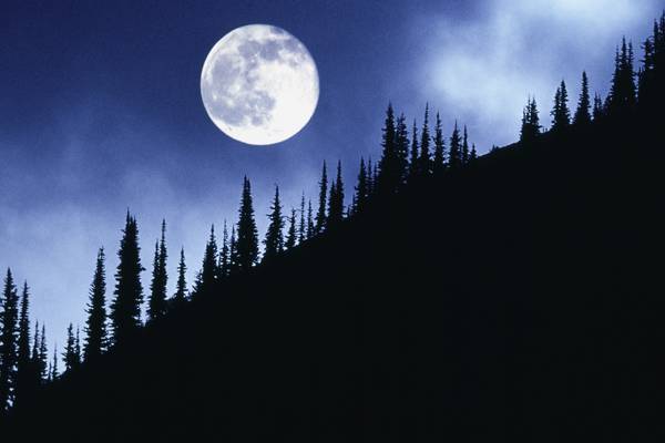 First full moon on Halloween night since 1974 will be rare ‘blue moon’