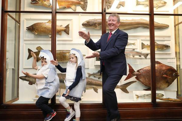Getting knowledge about salmon: Fishy Fun event at museum launched