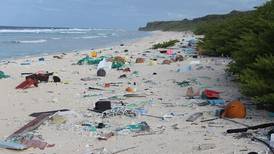 Can bio-plastics combat the scourge of plastic debris on land and sea?
