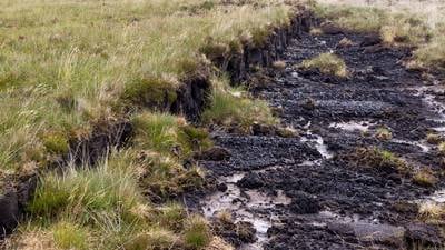 The Irish bog is under attack from rule-flouting dairy farming