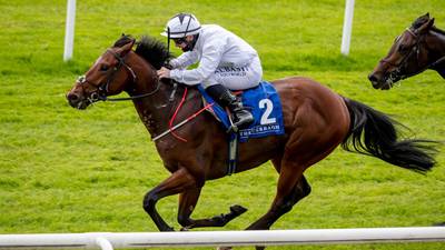 Ado McGuinness considering Breeders’ Cup option for A Case Of You
