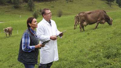 Teagasc project aims to reduce antibiotic use in agriculture