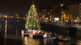 Dublin City Council spent €144,504 on Christmas trees