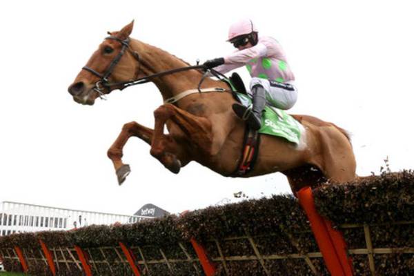 Magnificent mare Annie Power is retired