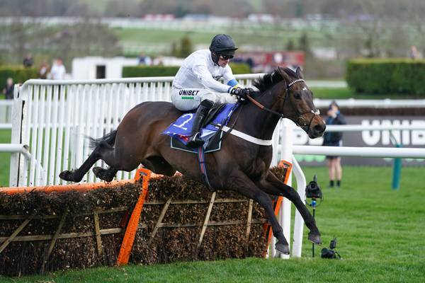 British racing’s great white hope Constitution Hill returns to action in Fighting Fifth Hurdle 