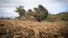 Landowner denies  megalithic dolmen was damaged by works
