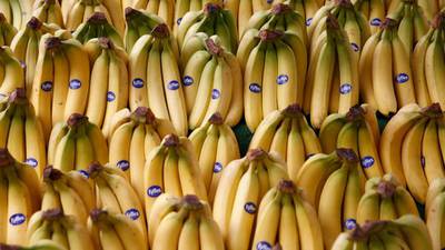 Shareholders in legal threat to Chiquita-Fyffes merger
