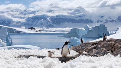 Antarctic sea ice goes from record high to record low in three years