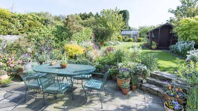 A garden of delight in Dublin 16 for €500,000