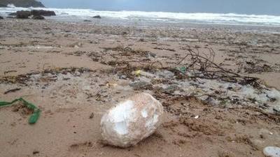 Rancid ‘balls of fat’ wash up on north Mayo coastline