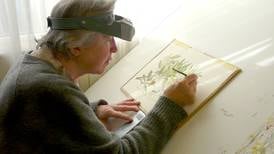 Celebrating the work of Irish botanical artists