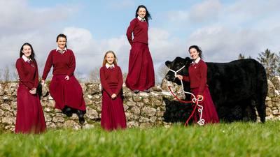 From Wellies to Bellies: City students scoop calf-rearing prize